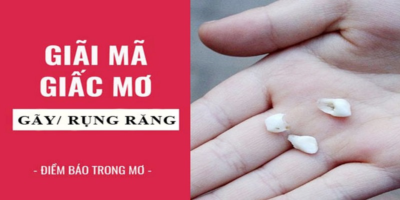 Những con số không thể bỏ qua khi mơ bị rụng răng 