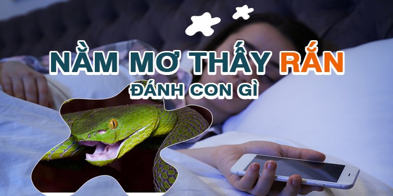 Khám phá con số may mắn theo loài rắn