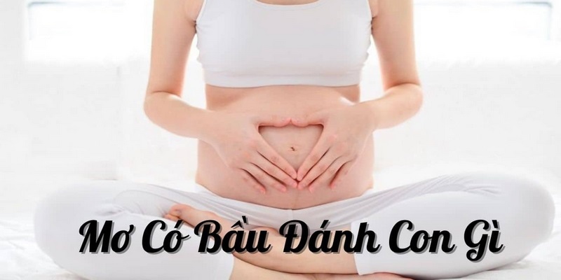 Nắm bắt những con số khi mơ có bầu cho cược thủ