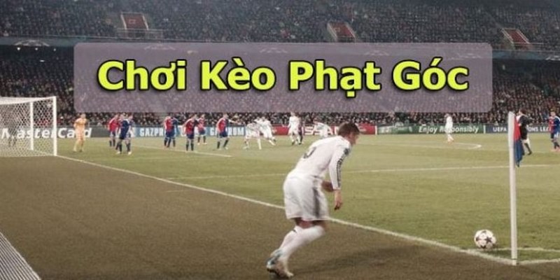 Một số loại kèo phạt góc phổ biến được sử dụng 